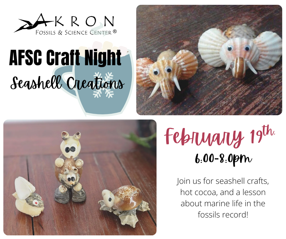 Adult Craft Night: Seashell Creations