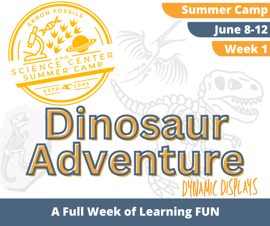 Dinosaur Adventure Camp
