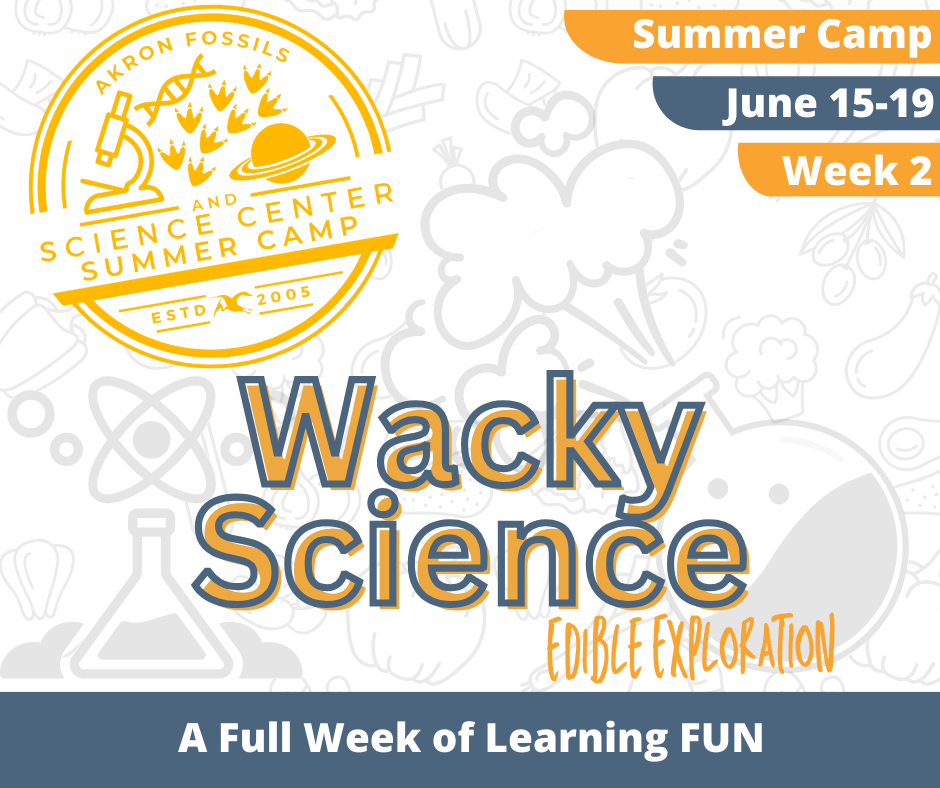 Wacky Science Camp