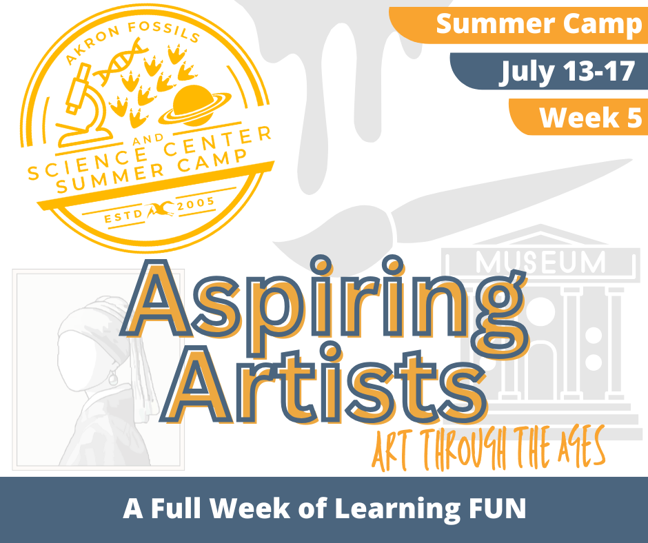 Aspiring Artists Camp