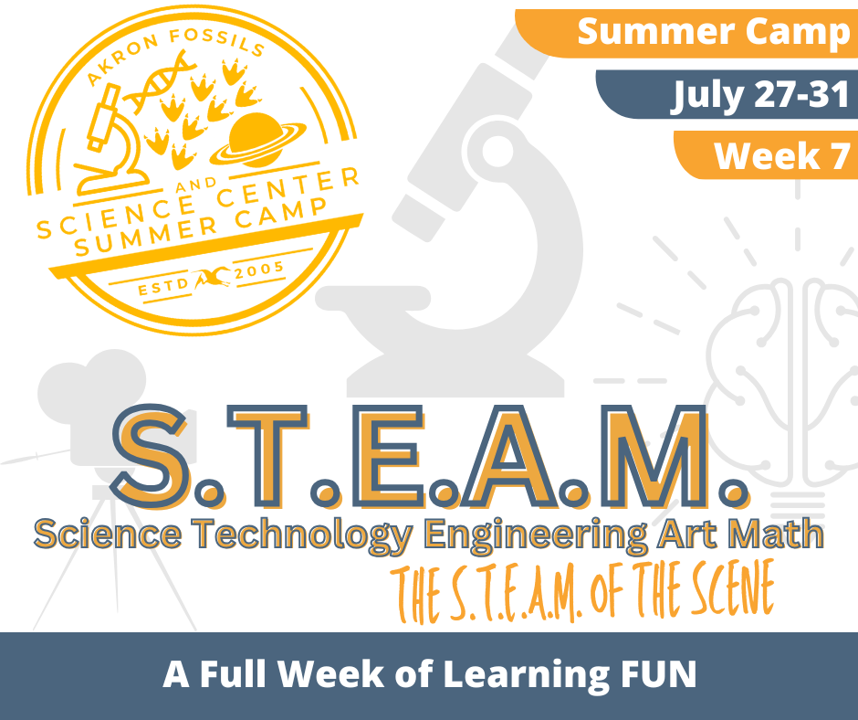S.T.E.A.M. Camp