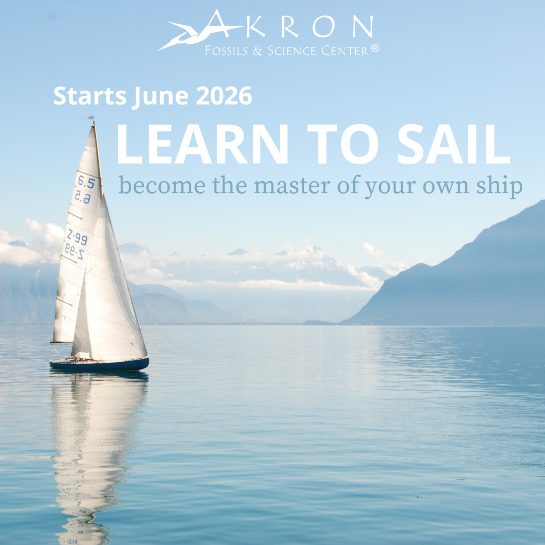 Learn To Sail Class