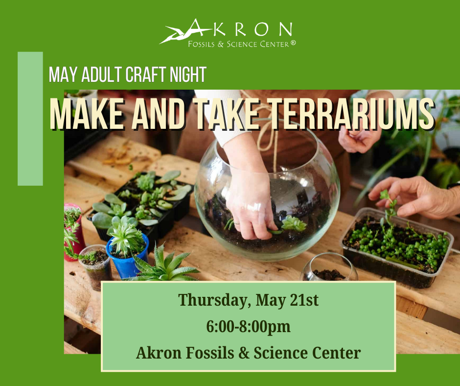 Adult Craft Night: Make and Take Terrariums