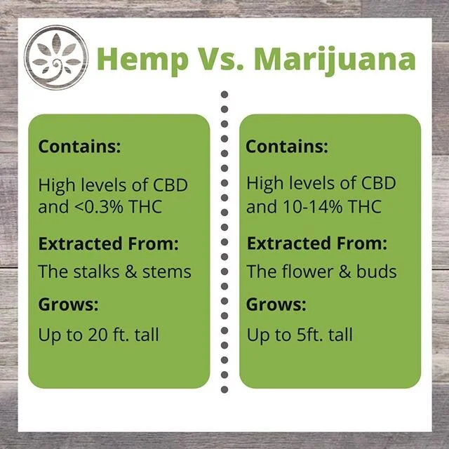 Ever curious about some of the differences of hemp-derived CBD vs. Marijuana-derived CBD? Here are some fun facts for you!
#educatemedicate #cannabiseducation #pammj #mmj #pennsylvaniacannabis #mmjpatients #hemp #CBD #medicalmarijuana