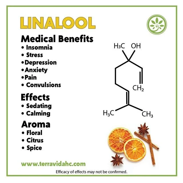 Linalool has a floral-spice aroma and may help the body feel calm and relaxed! Look for it in your medicine.
#educatemedicate #pammj #mmj #pennsylvaniacannabis #cannabiscommunity #cannabiseducation