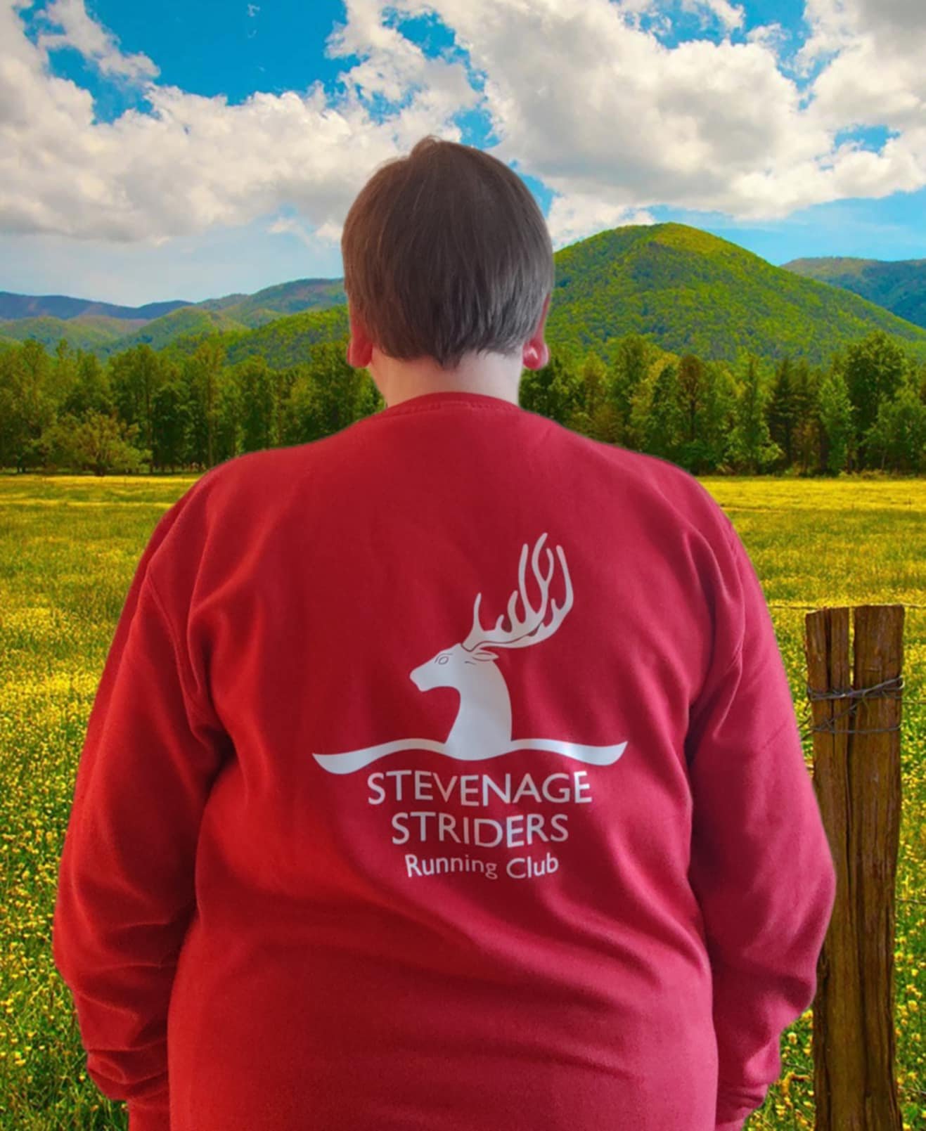 Sweatshirt - Back.png