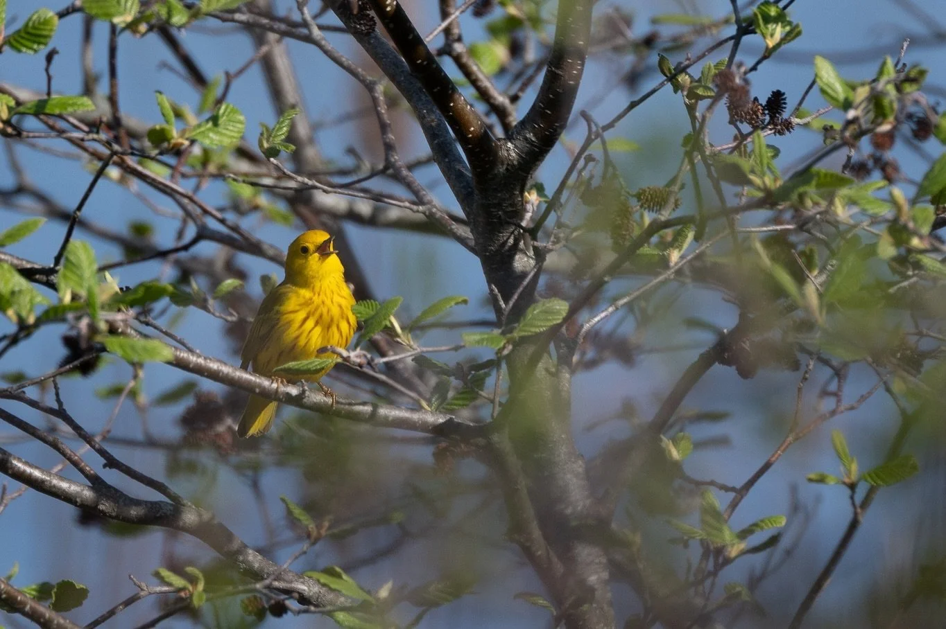 Hello spring! So grateful to be getting out for bike rides with my sweet potato @hannahjenkinsphoto 

First person to name all of the wildlife correctly wins a JM&amp;HLAS T-shirt (see last slide)
