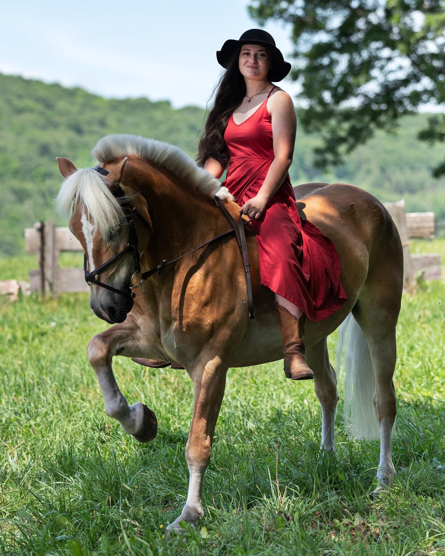 Senior sessions are always a blast and truly take us to the most magnificent places! Beautiful horse farms with views for days and the gorgeous talented Nicole and her handsome horse Monte! This session was a dream and the hardest part was picking on