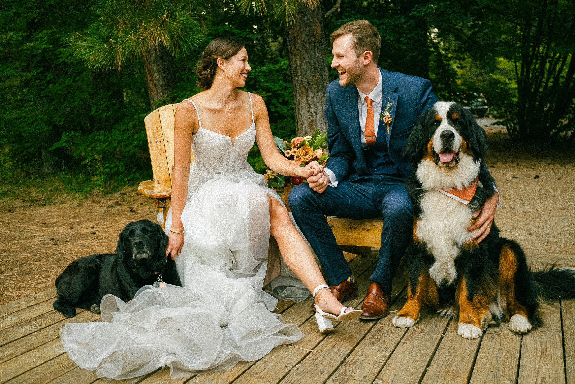 suttle-lodge-wedding-dog friendly-venue.jpg