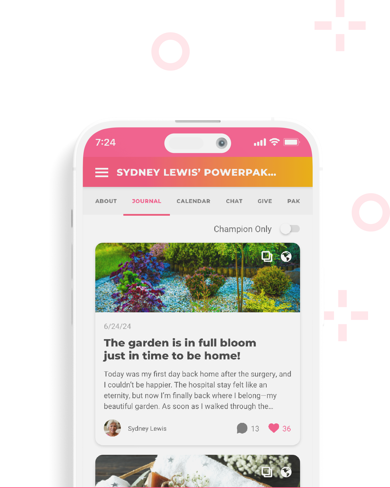 Phone screen showing multiple caregiver journal entries in the My PowerPak app