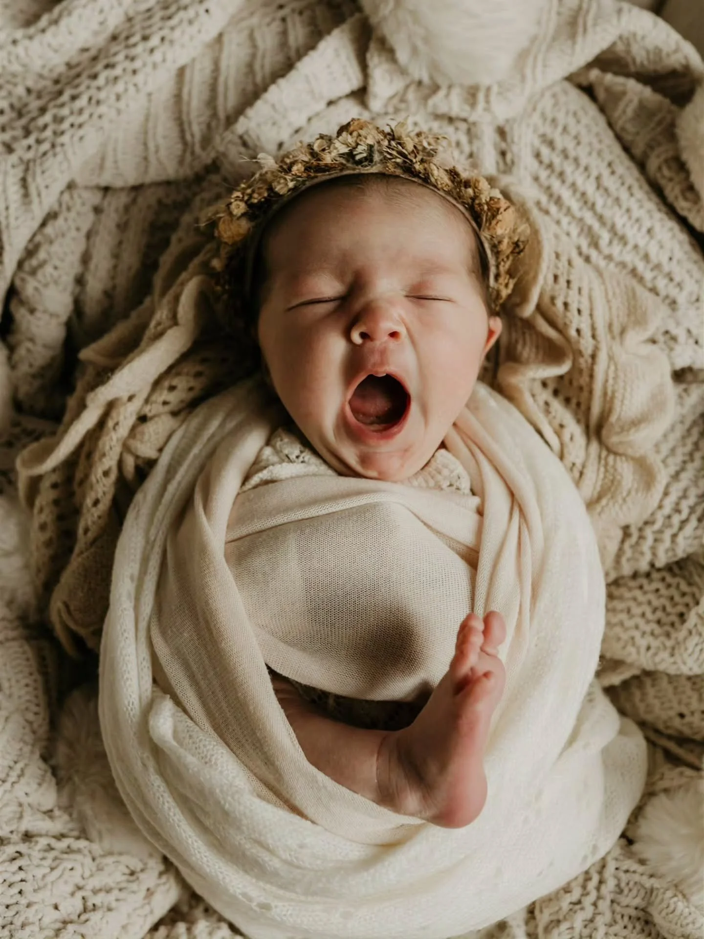 Caught her mid yawn 🥱 

Maternity clt photographer newborn photographer 
Charlotte newborn photographer Charlotte maternity photographer clt family photography Charlotte family photographer concord wedding photographer Charlotte wedding photography 