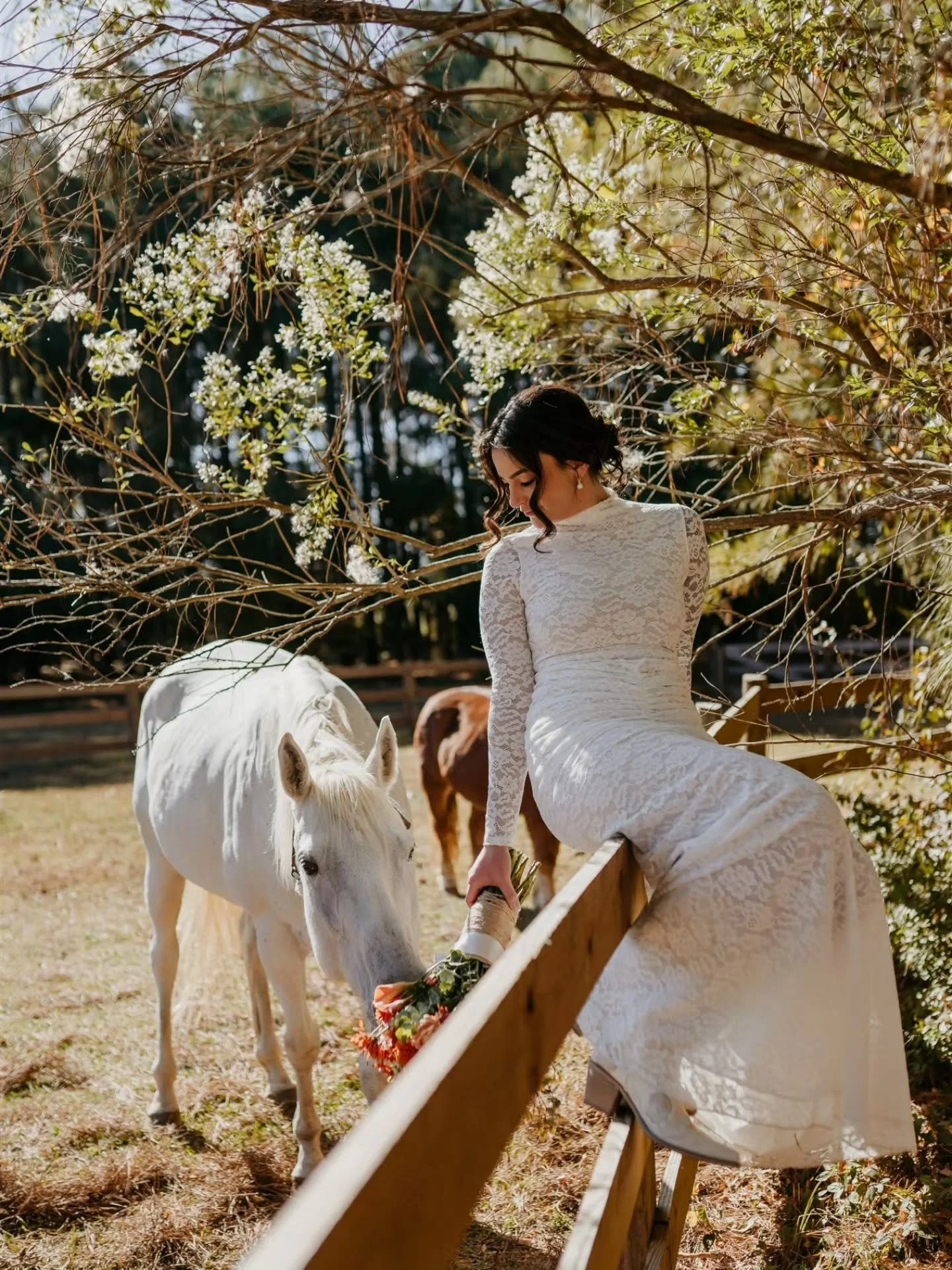 Macayla and Ryan officially tied the knot tucked away in the woods, and honestly&hellip; it couldn&rsquo;t have been a more perfect fall day. Crisp air, gorgeous colors, and the sweetest little group of their closest family &mdash; plus their adorabl