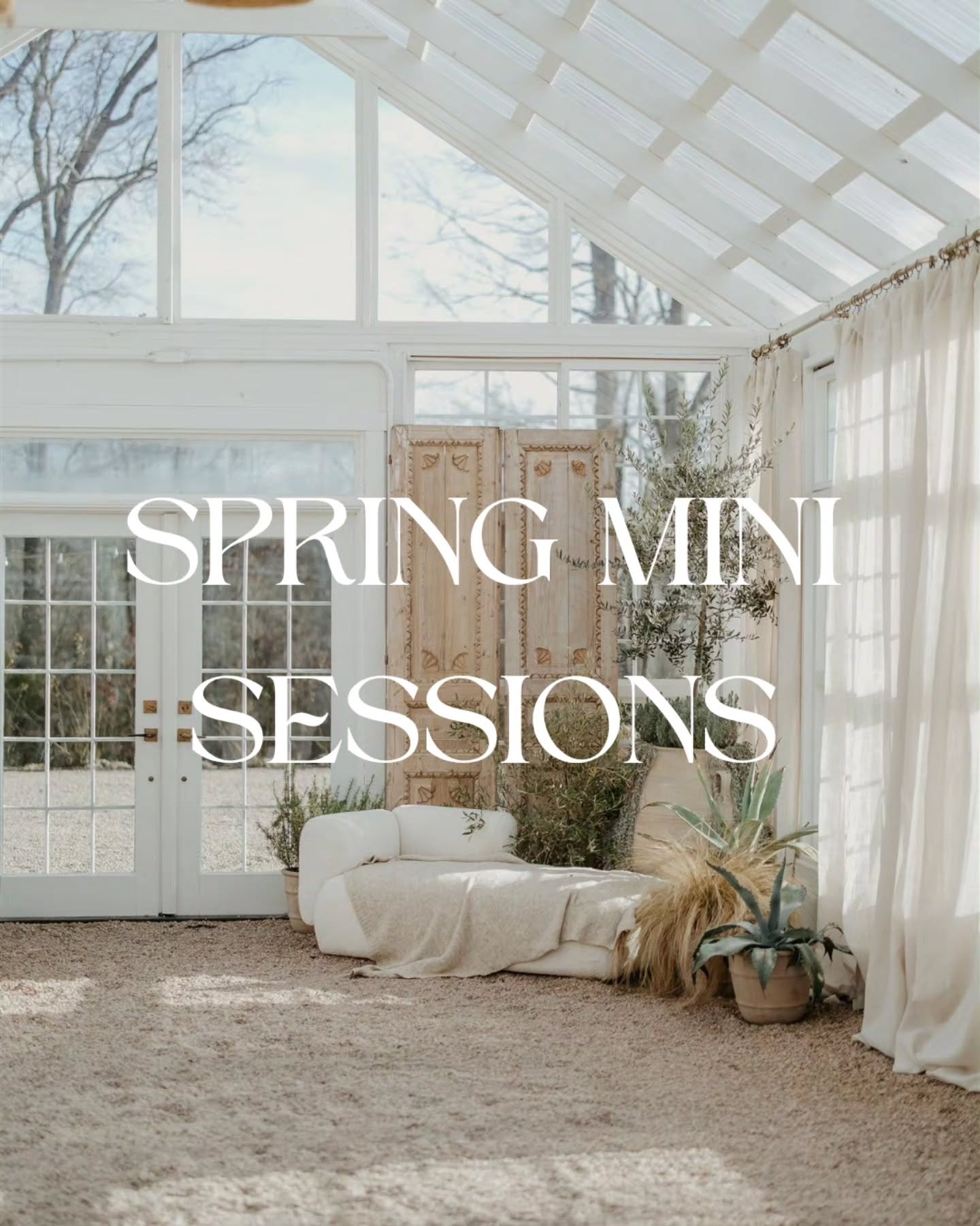 🌸 Spring Mini Sessions are Coming! 🌸

Spring is almost here and that means it&rsquo;s the perfect time to update your family photos! The flowers will be blooming, the light will be beautiful, and these quick sessions are perfect for families, coupl