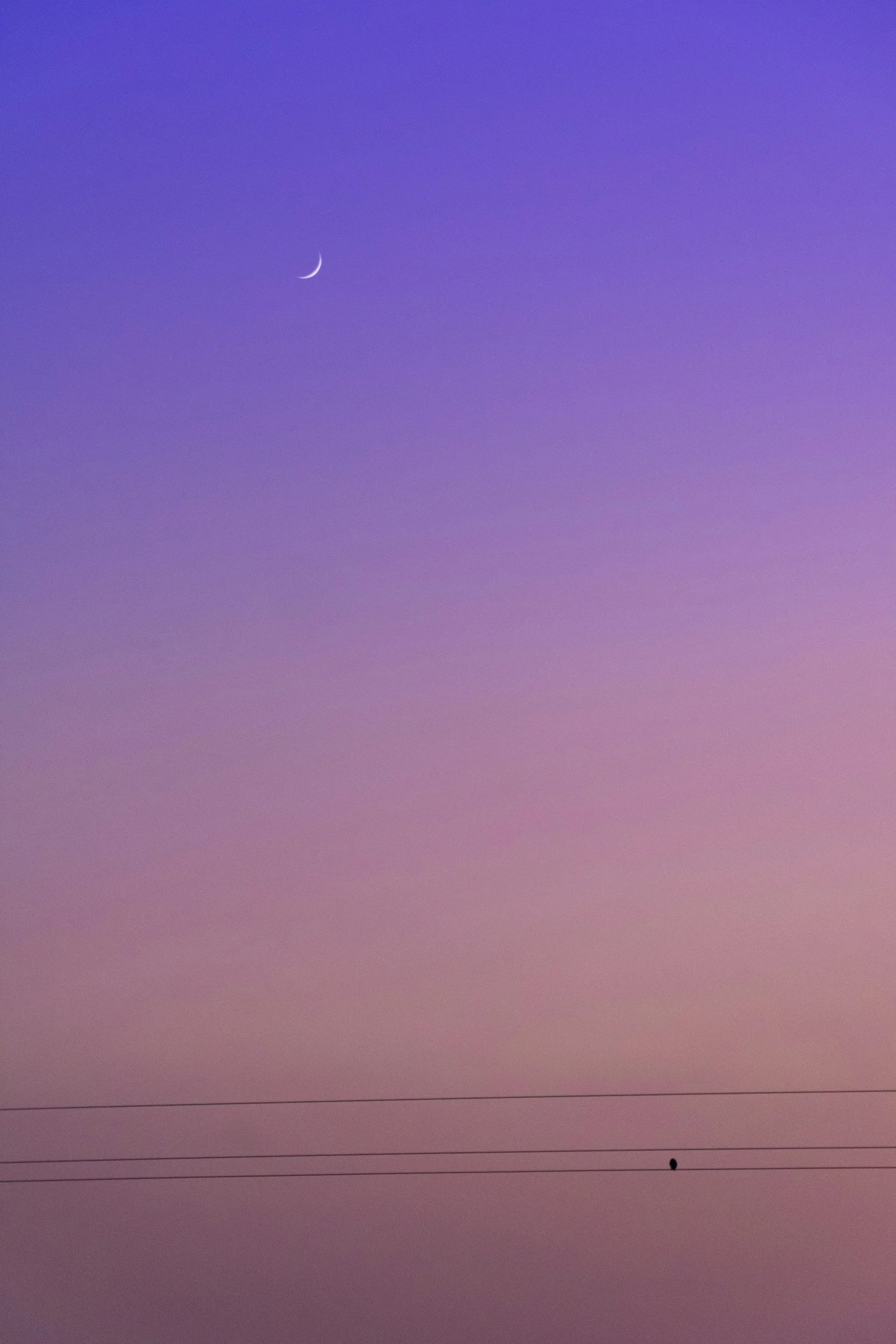 purple ombre blend of sunset