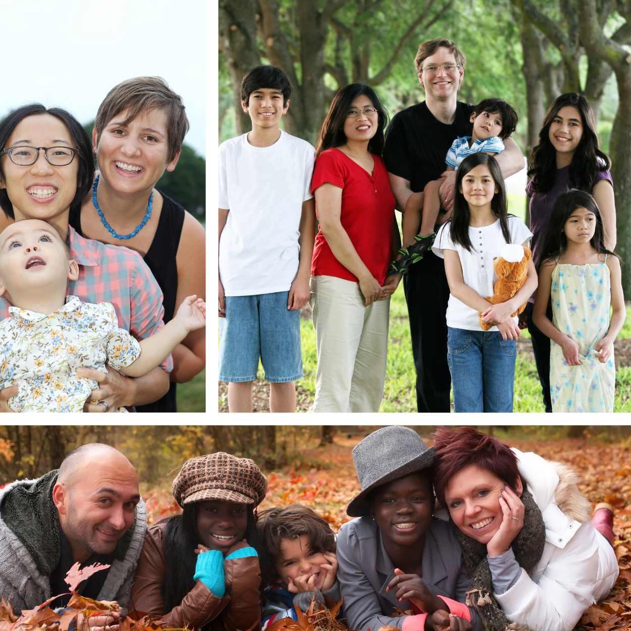 The Multi-Racial Relationships Project — Institute for Liberatory ...