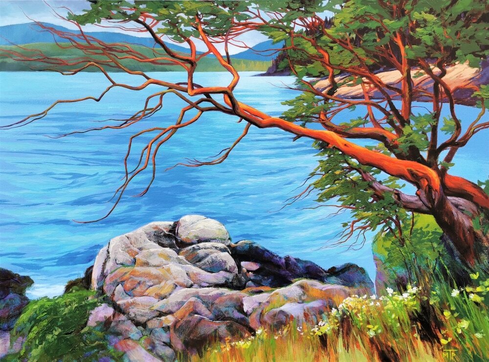  Salt Spring Sentinel   Acrylic on canvas, 30x40 inches, Sold  