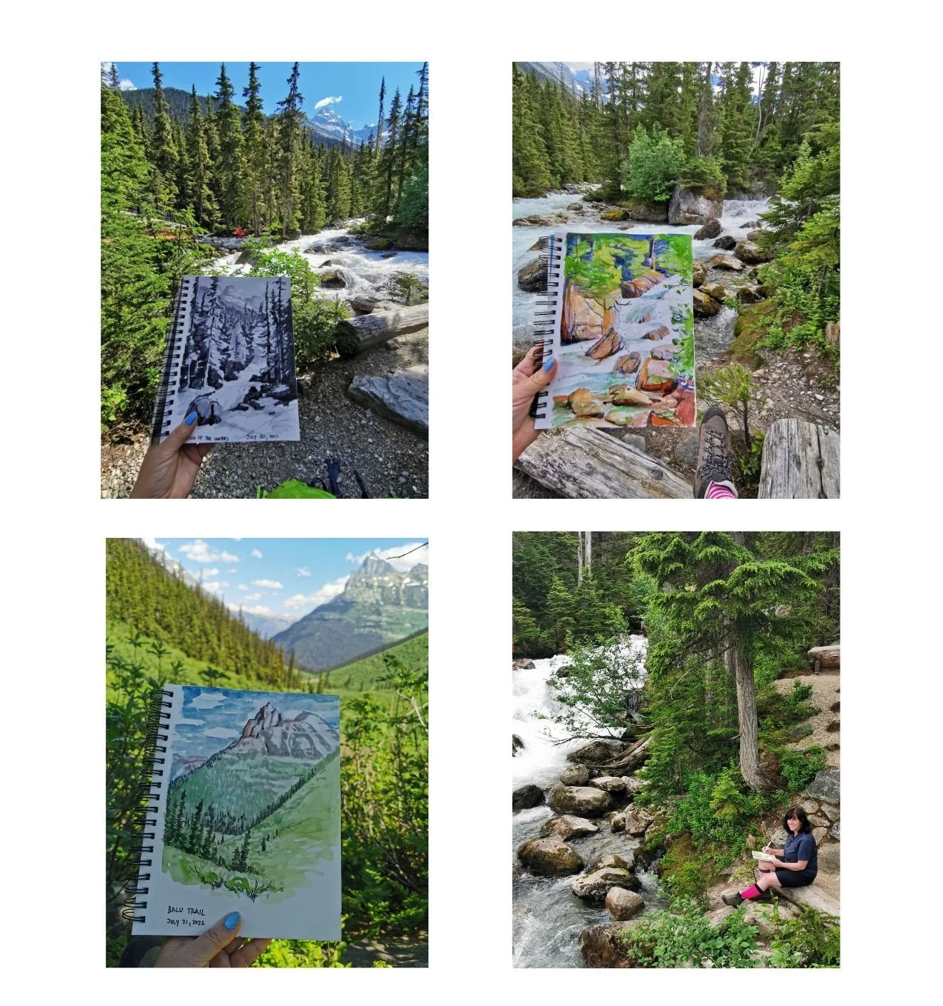   Field Journal , 2022, Glacier National Park Artist Residency 