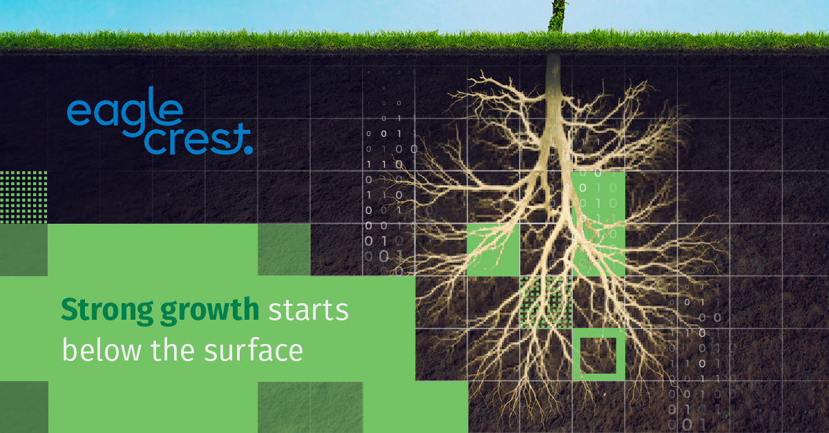 BLOG | How to Build Your Technology Foundation to Support Growth