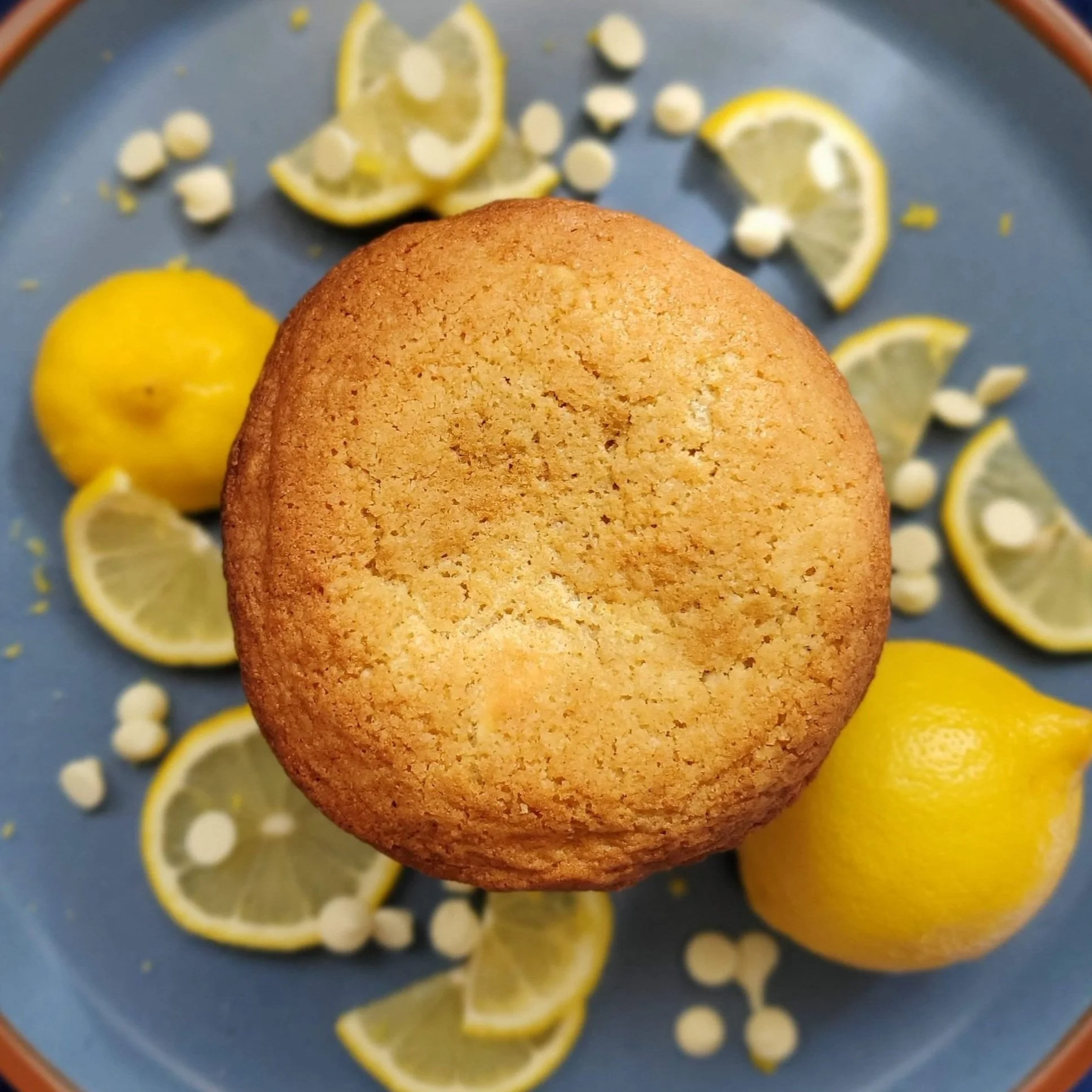 cookie with lemons and white chocolate chips on blue background