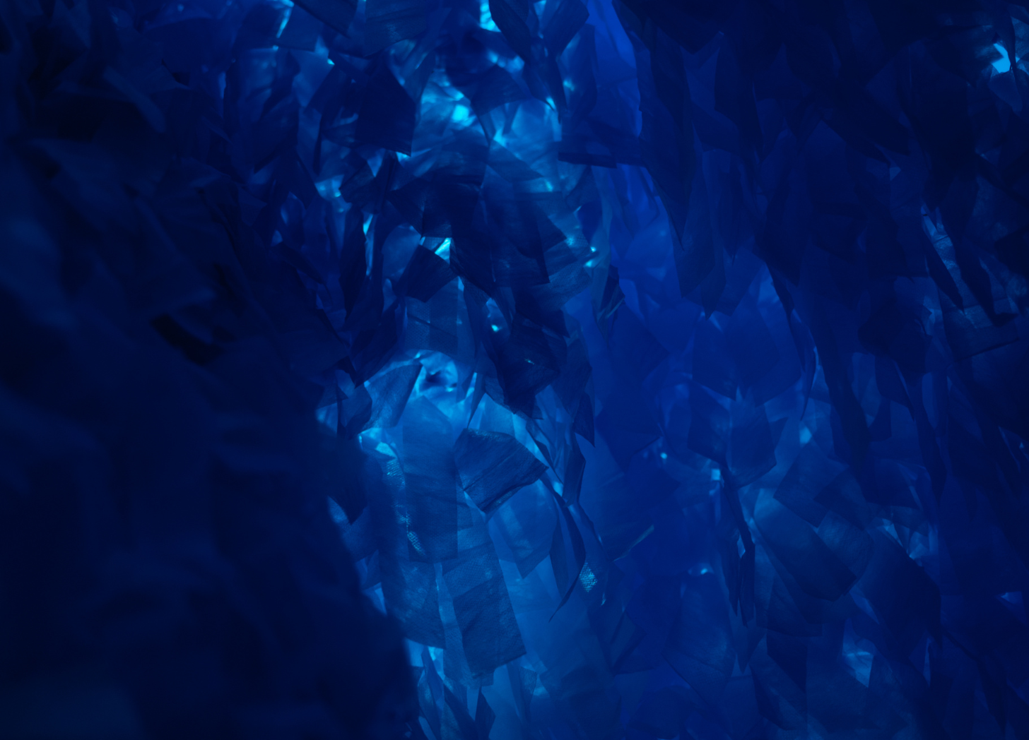 The Return to Wholeness in a Fragmented World