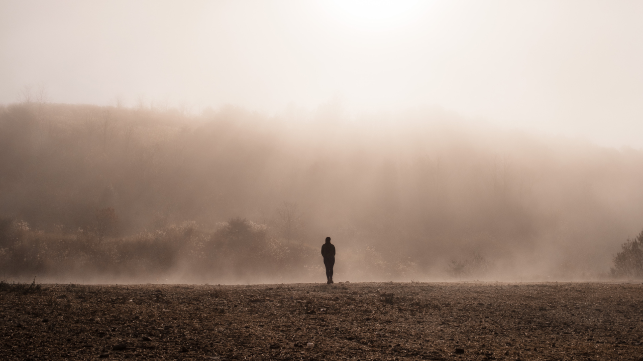 Reclaim Your Field