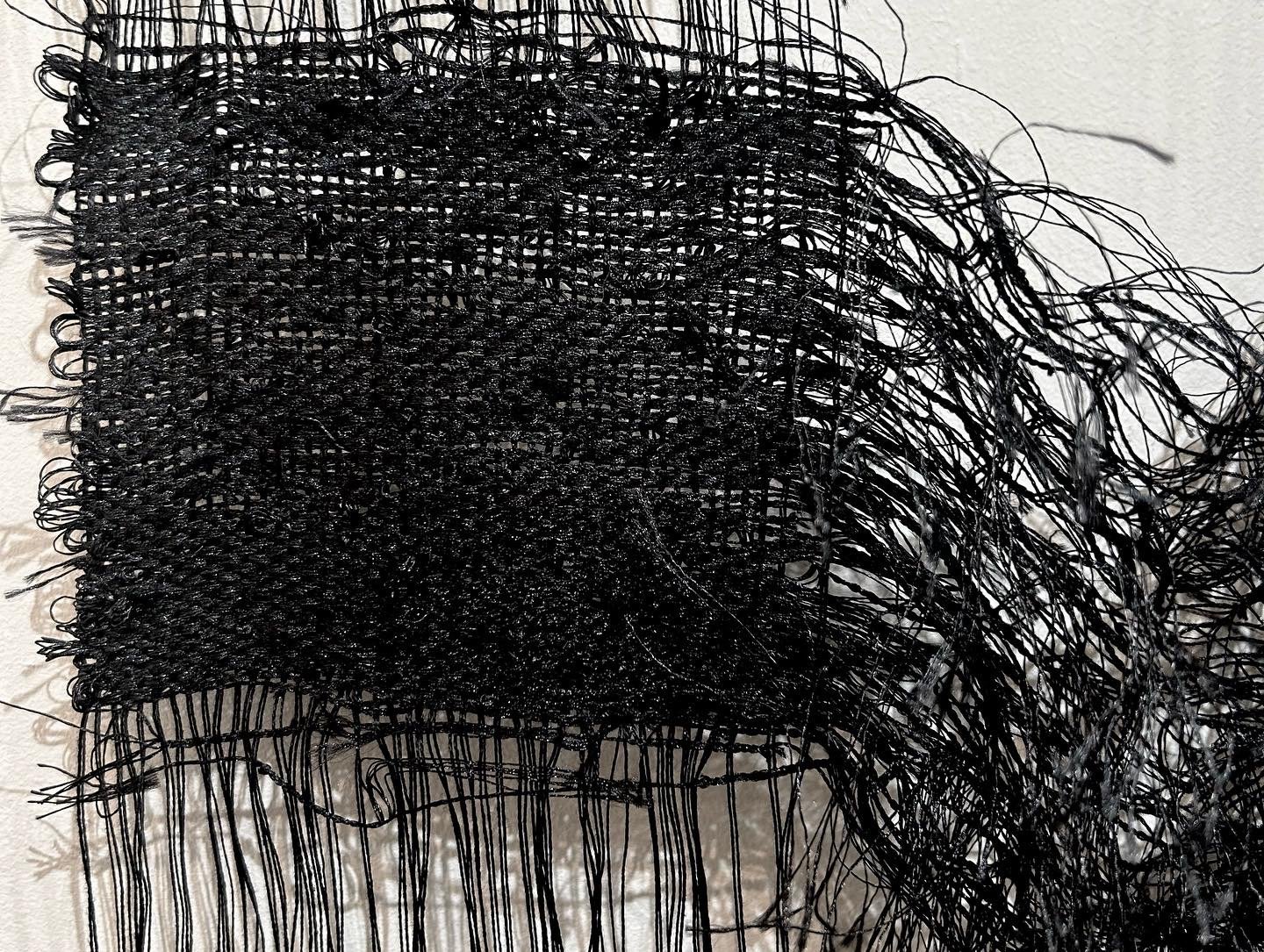 "It's a Little Fuzzy" detail