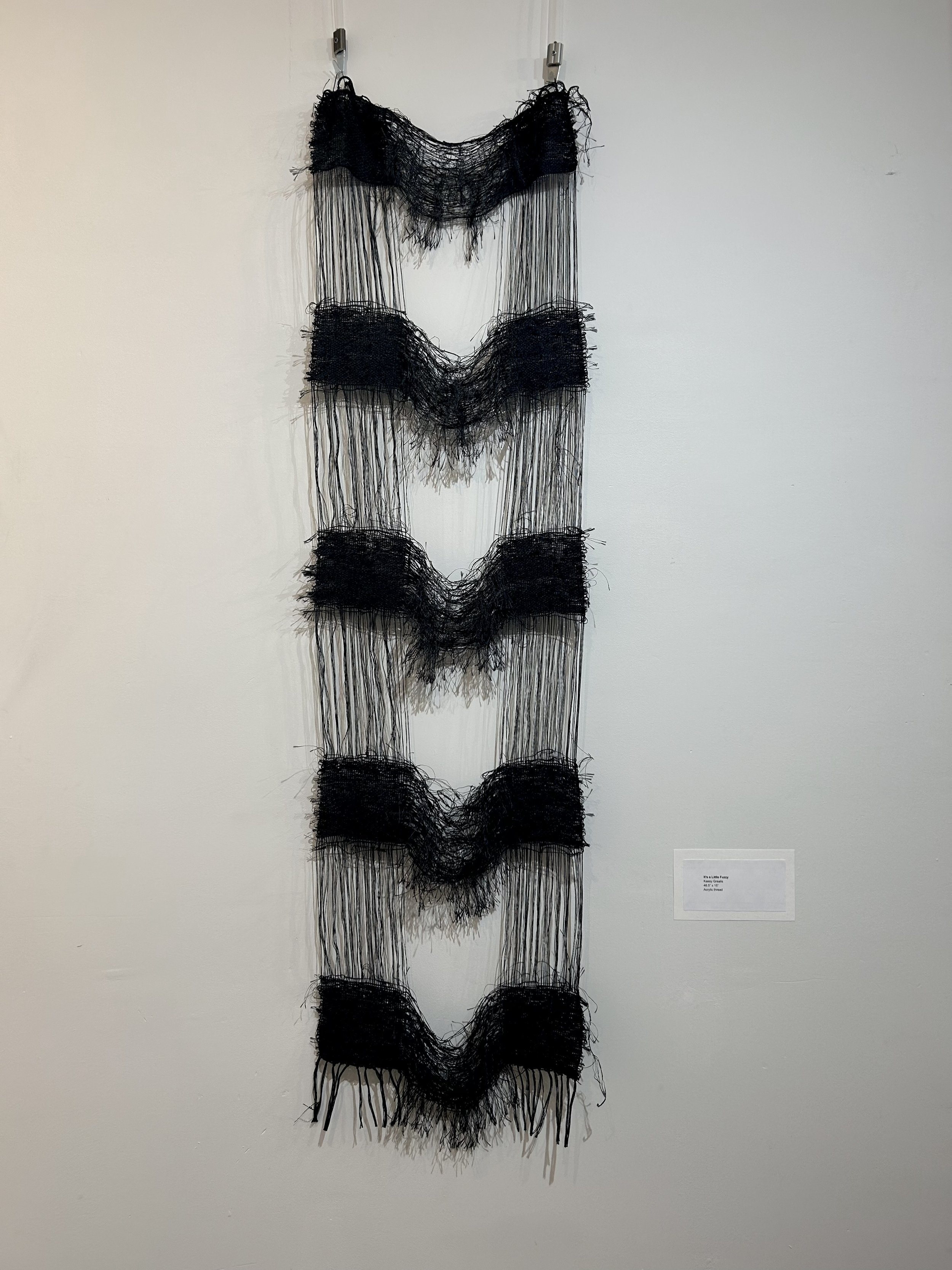 "It's a Little Fuzzy"
46.5” x 15”
Acrylic thread