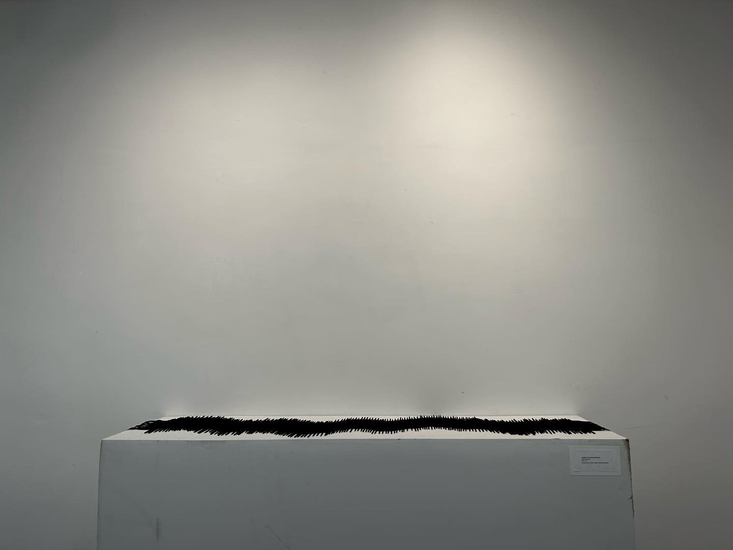"Auditory Processing Disorder"
78” x 12”
Acrylic paint, Cotton thread, Wooden skewers