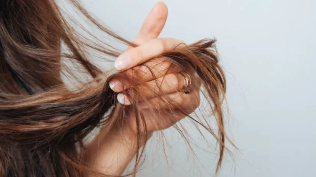 The Great Repair |  A Professional Guide To Fixing Damaged Hair 