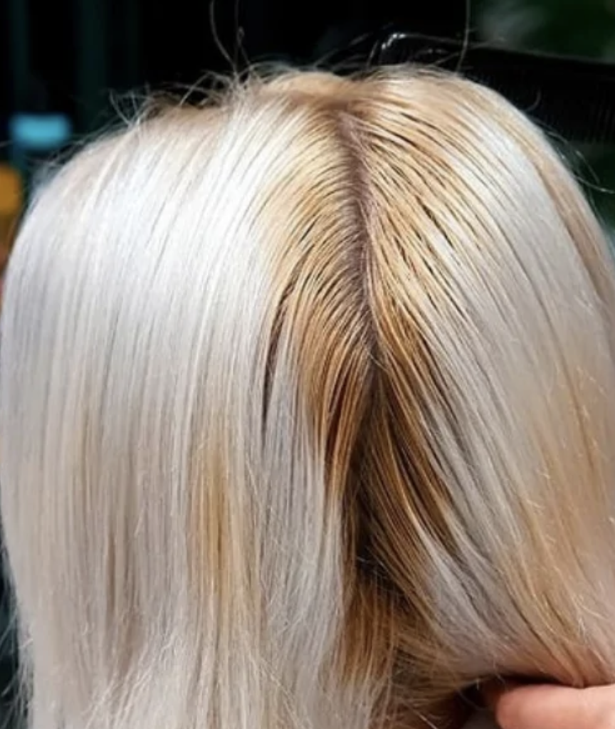 Screenshot 2026-01-05 at 6.14.26 PM.png