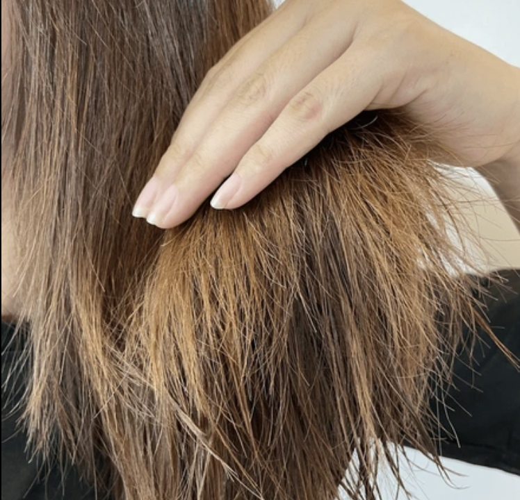 Screenshot 2026-01-05 at 6.19.36 PM.png