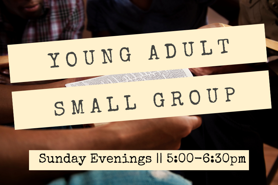 Young Adult Small Group