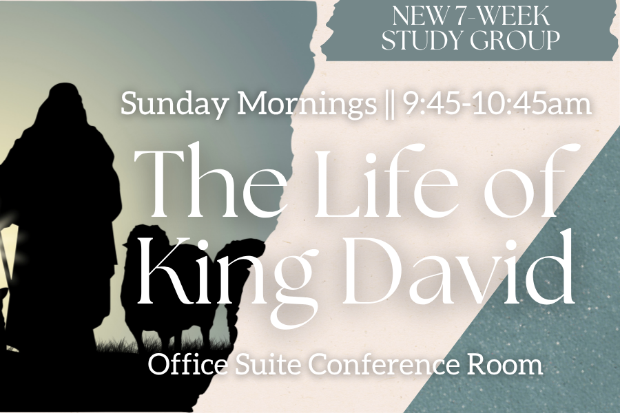 Fall Bible Study:  The Life of King David