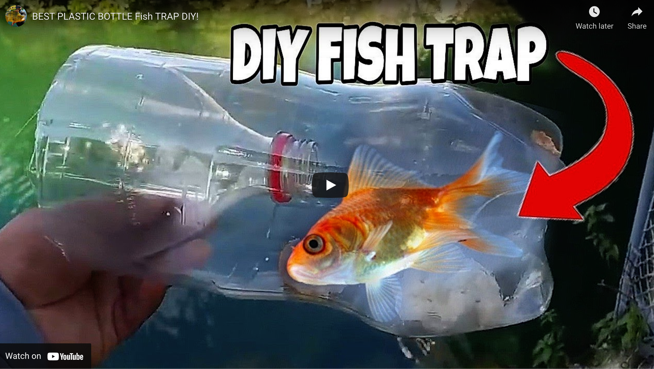 Fish Trap Diy