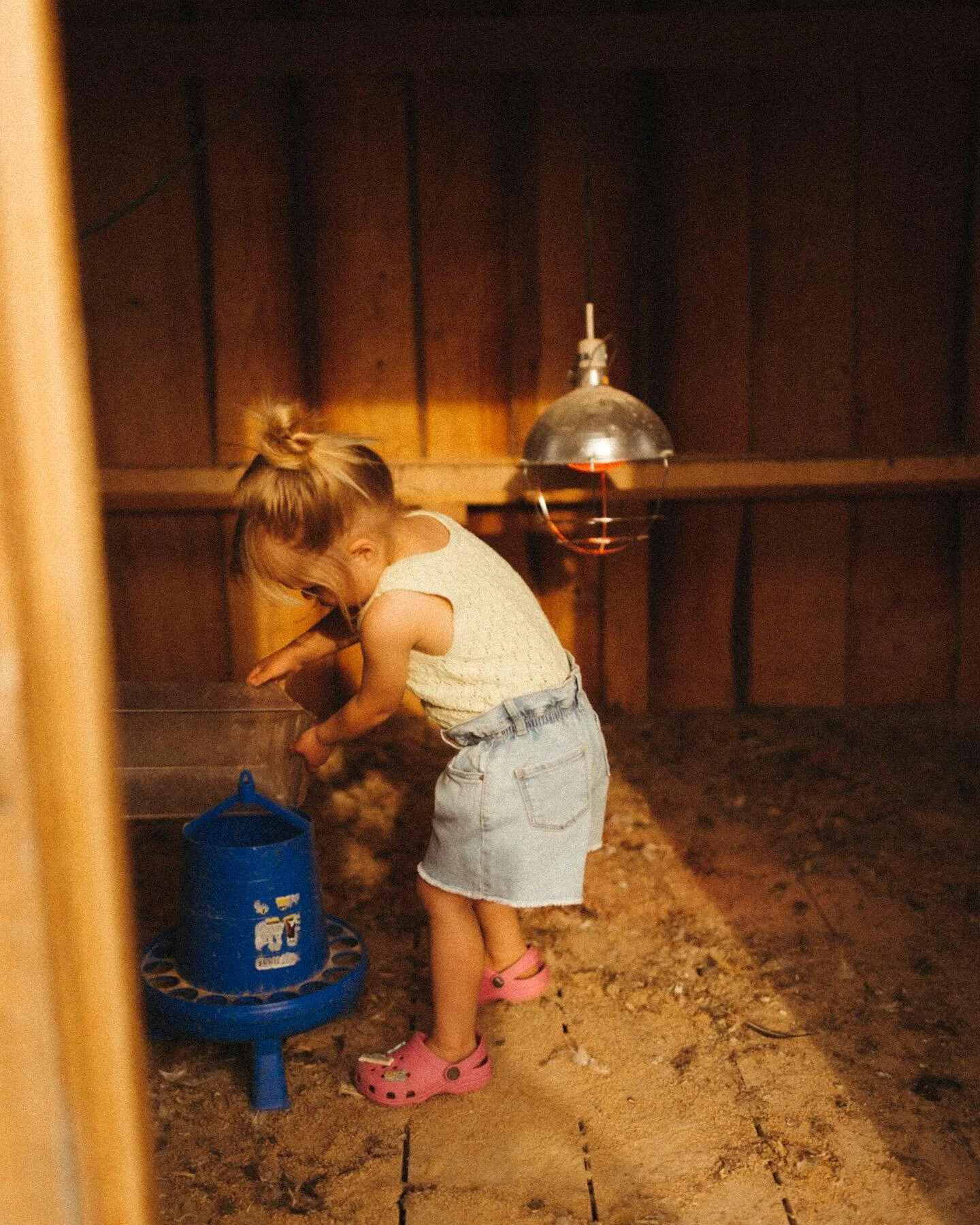 Life on the farm 🌾