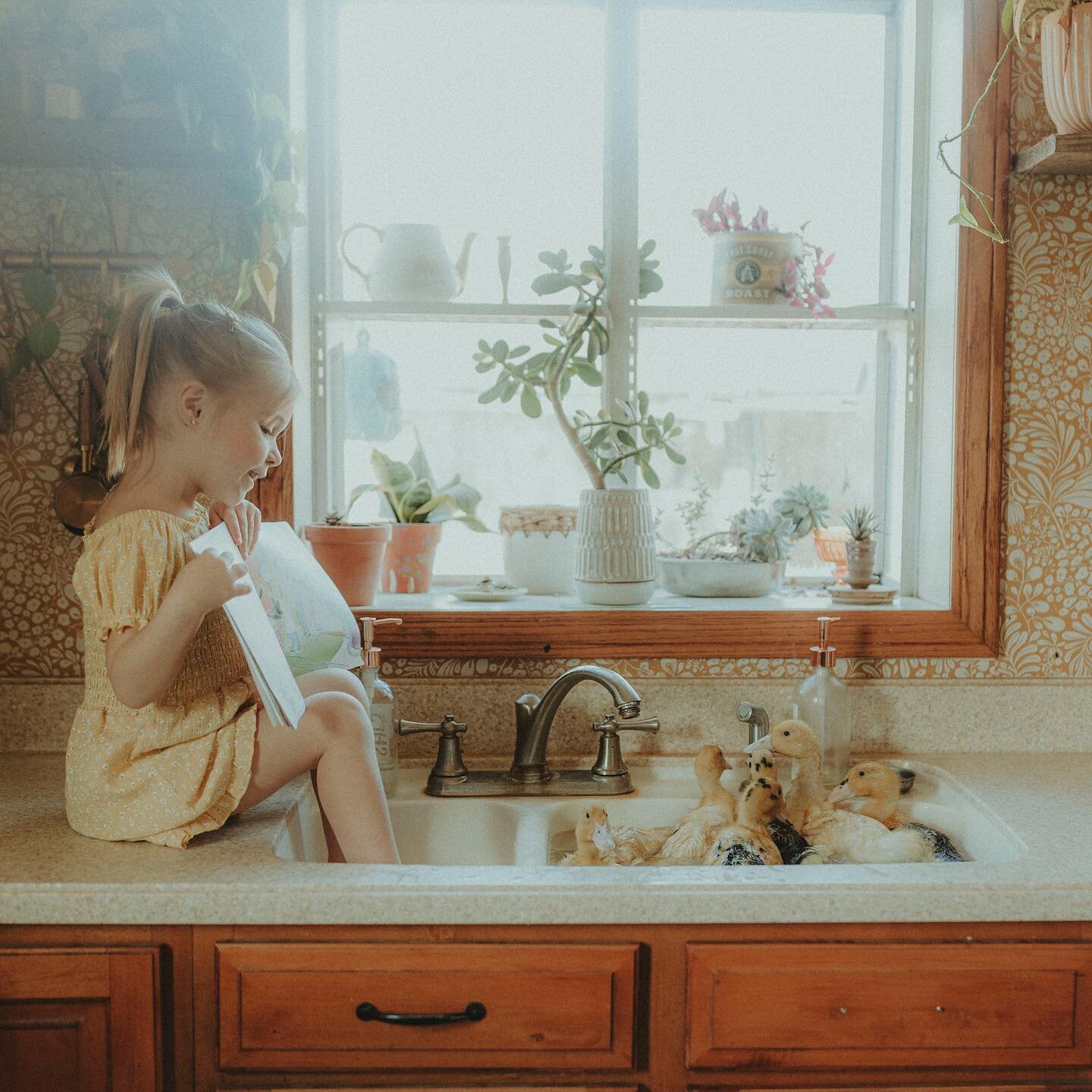 We love this kitchen and the memories we make together in it 💗 we gave the ducks their last tubby in the sink because they are getting too big to fit 😅