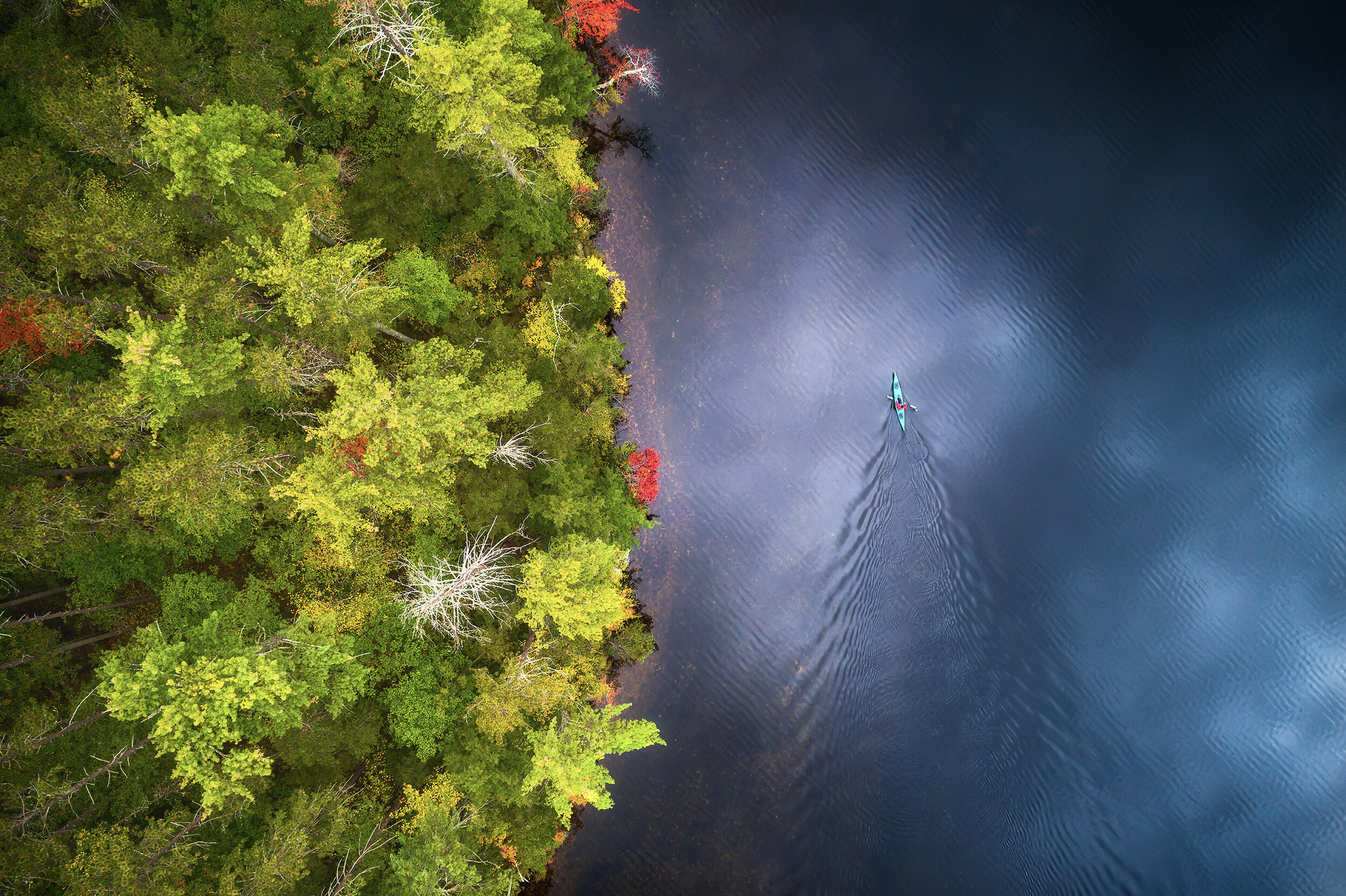 9_ManishMamtani_Canoe_24x36.jpg