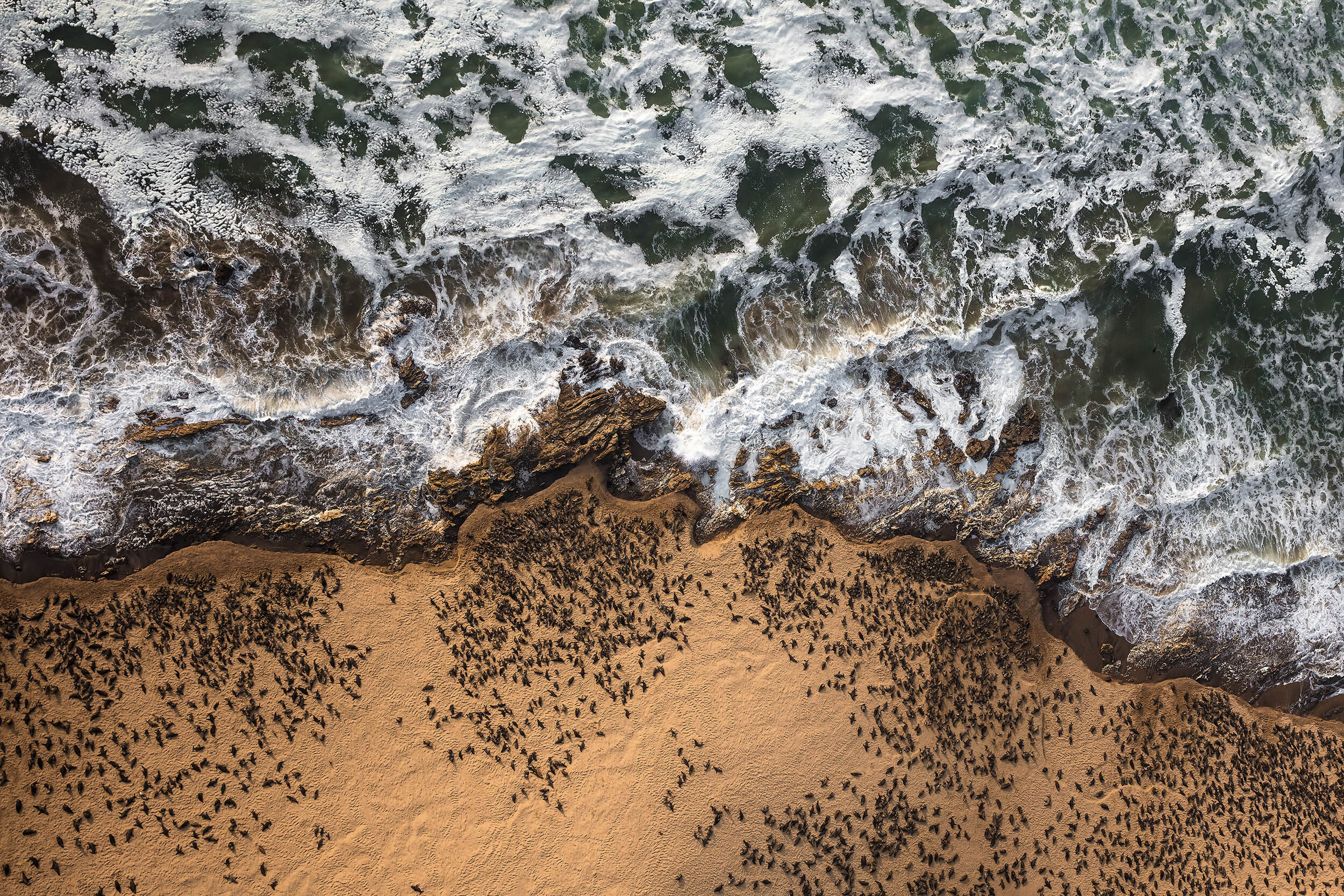 12_ArbyLipman_SealBeach_24x36.jpg