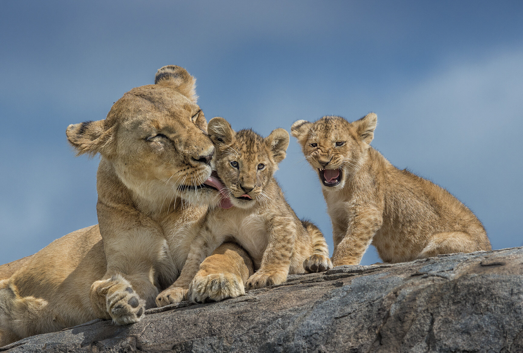 30_RussBurden_Lions.jpg