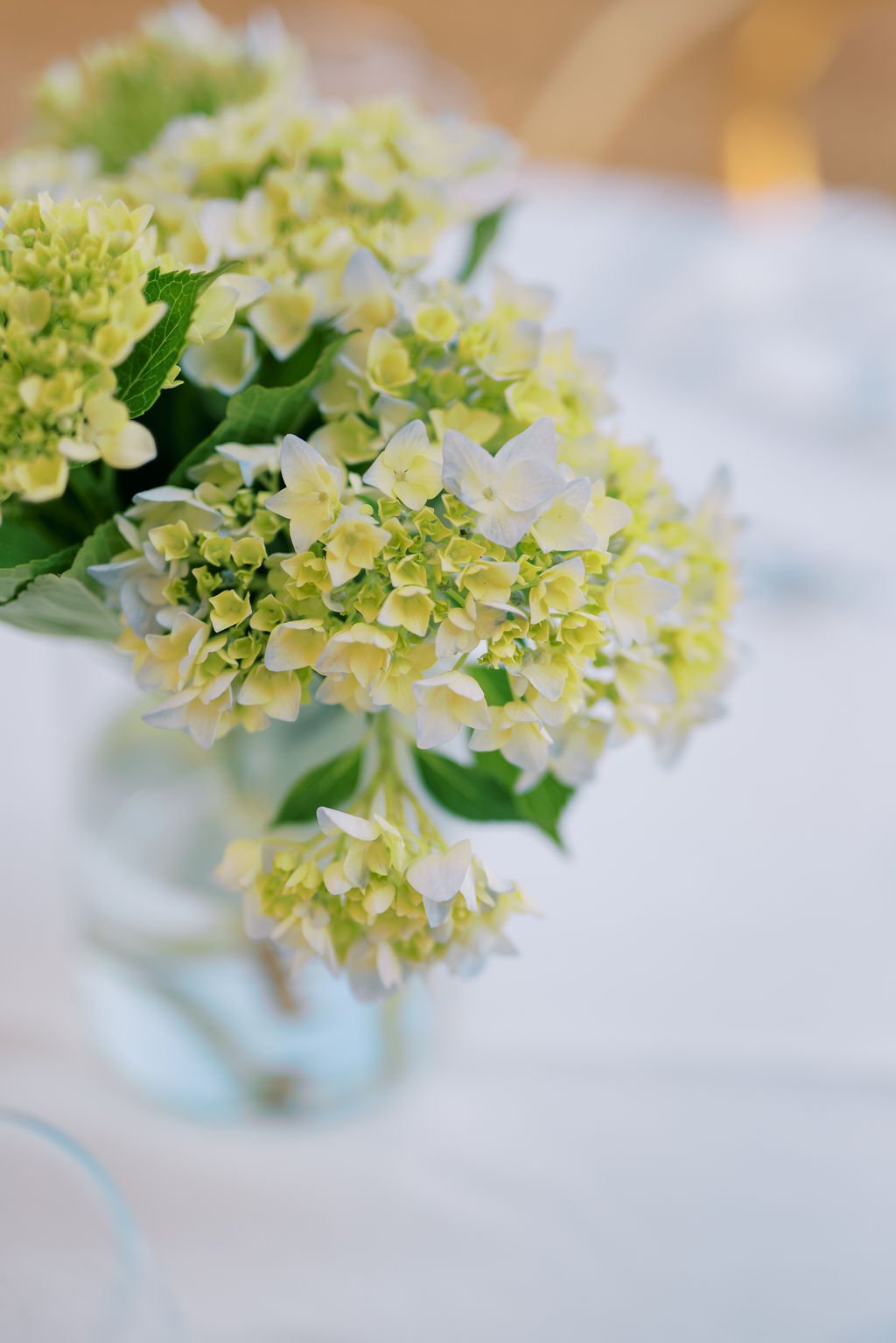 L&A_Welcome©RuiVazFranco-138.jpg