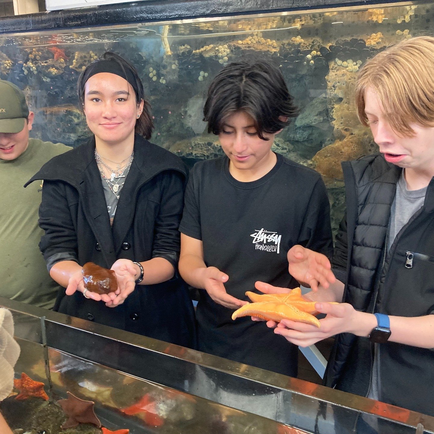 Happy Spring from Anacapa School! 
At Anacapa, we&rsquo;re all about creativity, connection, and community! Whether you&rsquo;re striking a pose in yoga, collaborating in art class, shooting hoops on the basketball court, adventuring in urban nature,