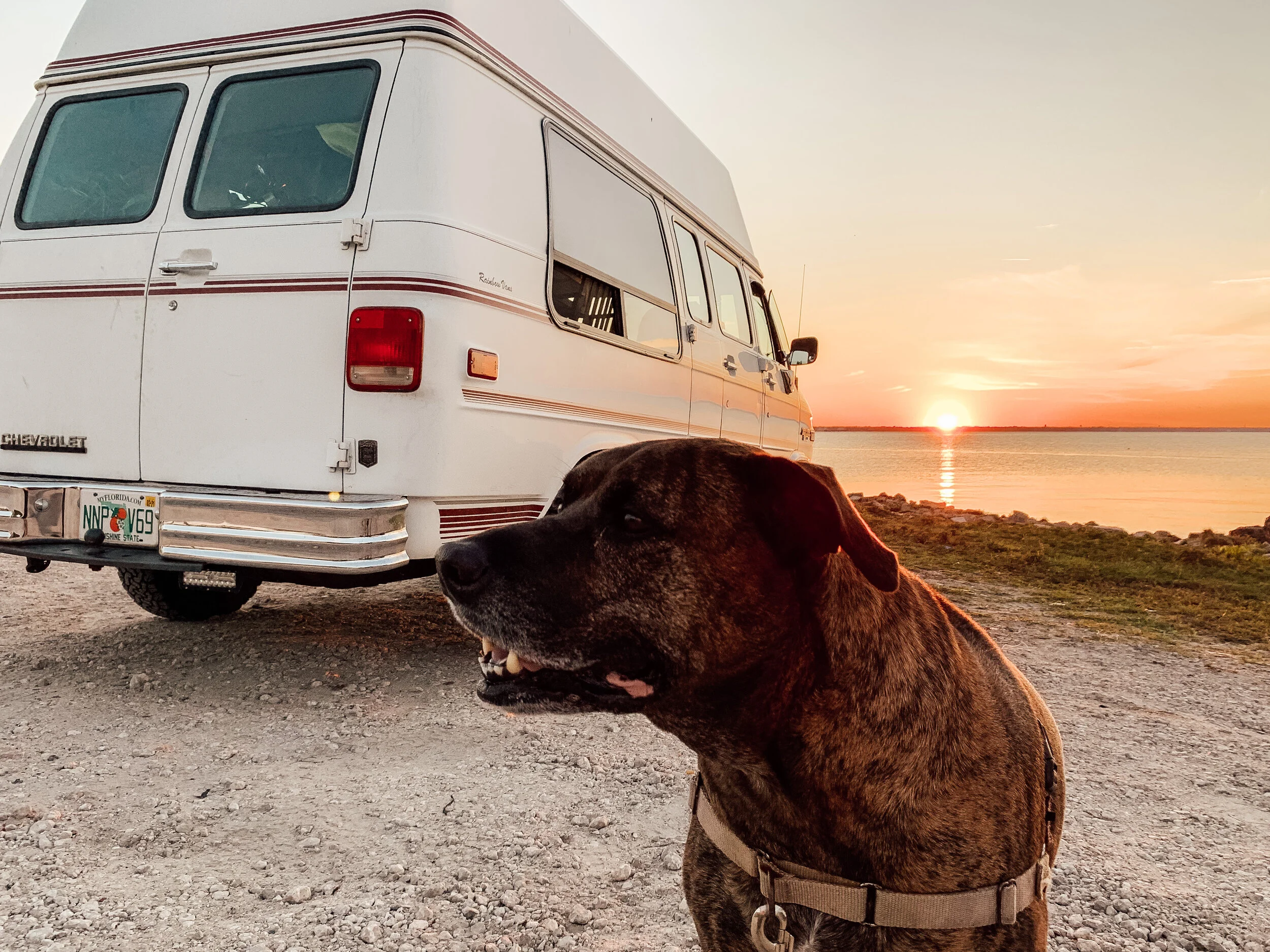 Living in a Van Down on the Farm