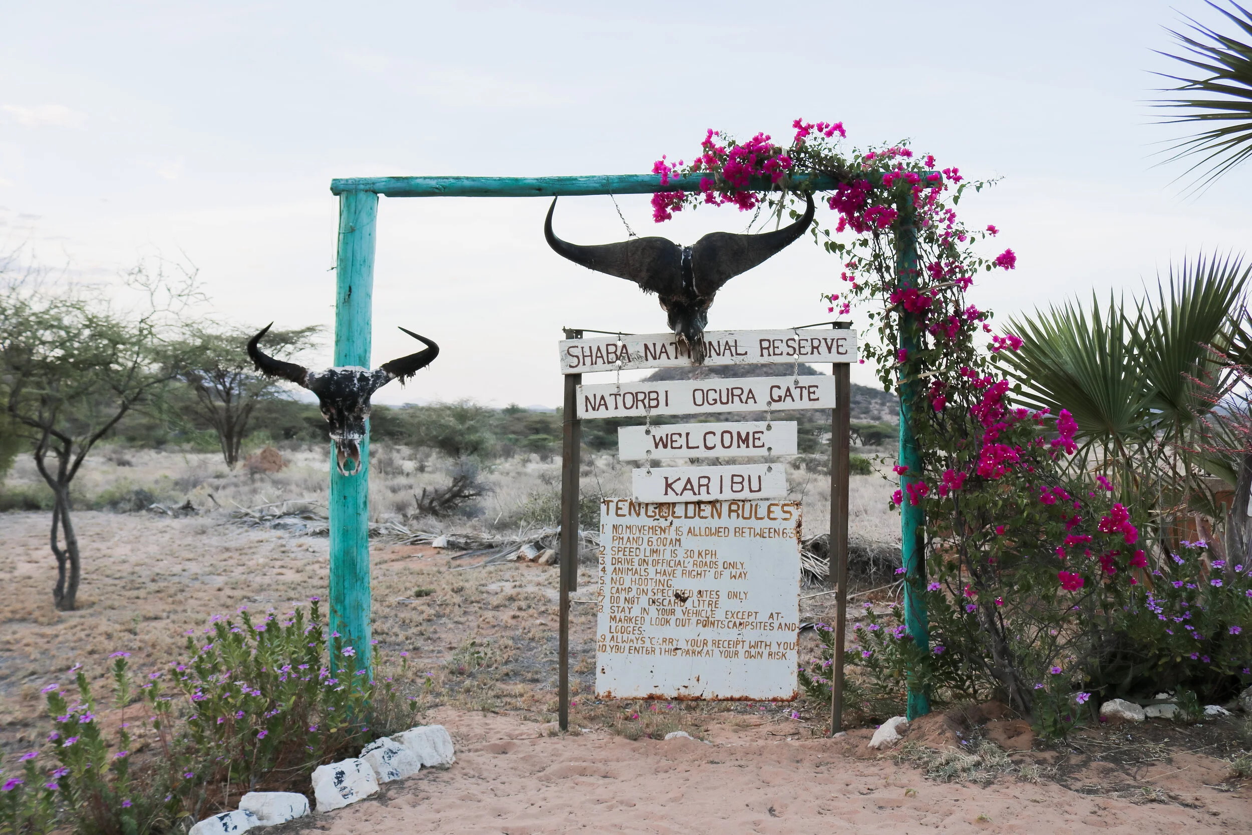 Kenya Adventure Photos