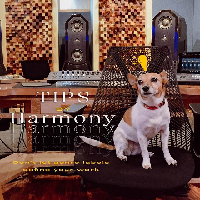 Harmony's life motto is &ldquo;think outside the box&rdquo;. By doing what you are &quot;supposed to do&quot; you might miss huge opportunities to expand your knowledge and come up with innovative sounds.
.
.
.
#microphone #talent #studiodog #studio 