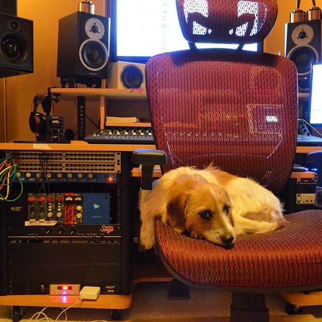 Oh boy...another unattended session. Great. .
.
.
.
.
.
.
.

#sundaymood #musicians #songwriter #studiovibe #producer #studio #studiodog #musicproduction #recordingstudio #makingmusic #quarantine #protools #staysafe #musicproducer #studiodog #stayhom