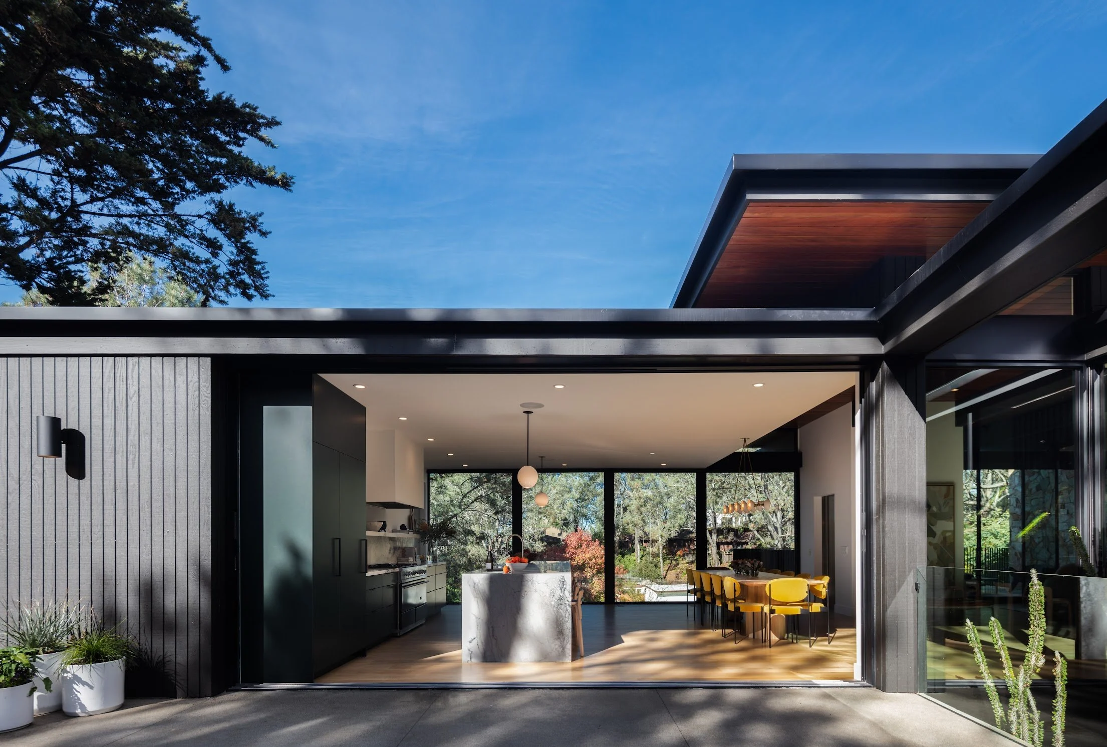 bradley_NDD_pine needles_30 edited.jpg