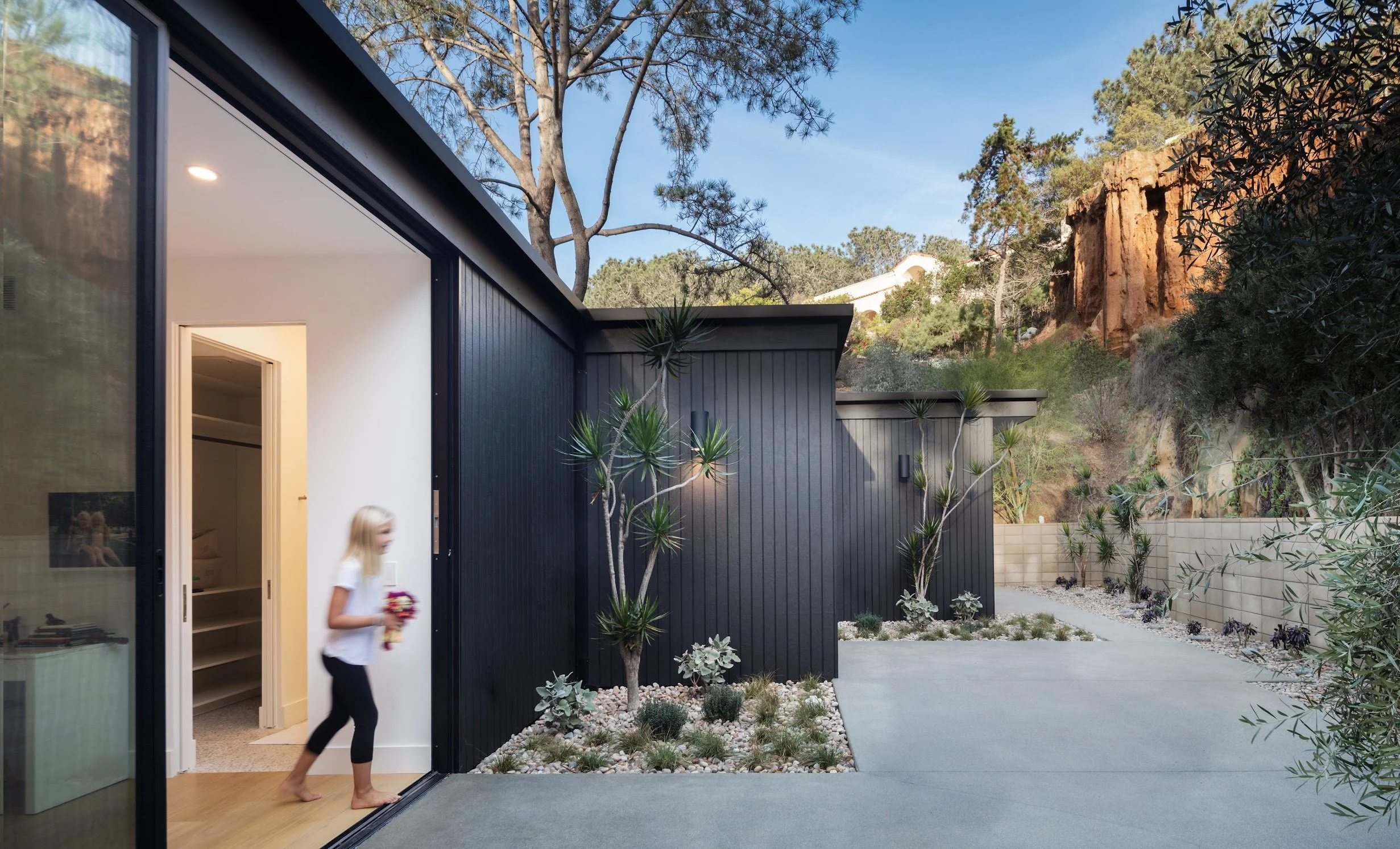 bradley_NDD_pine needles_48 edited.jpg