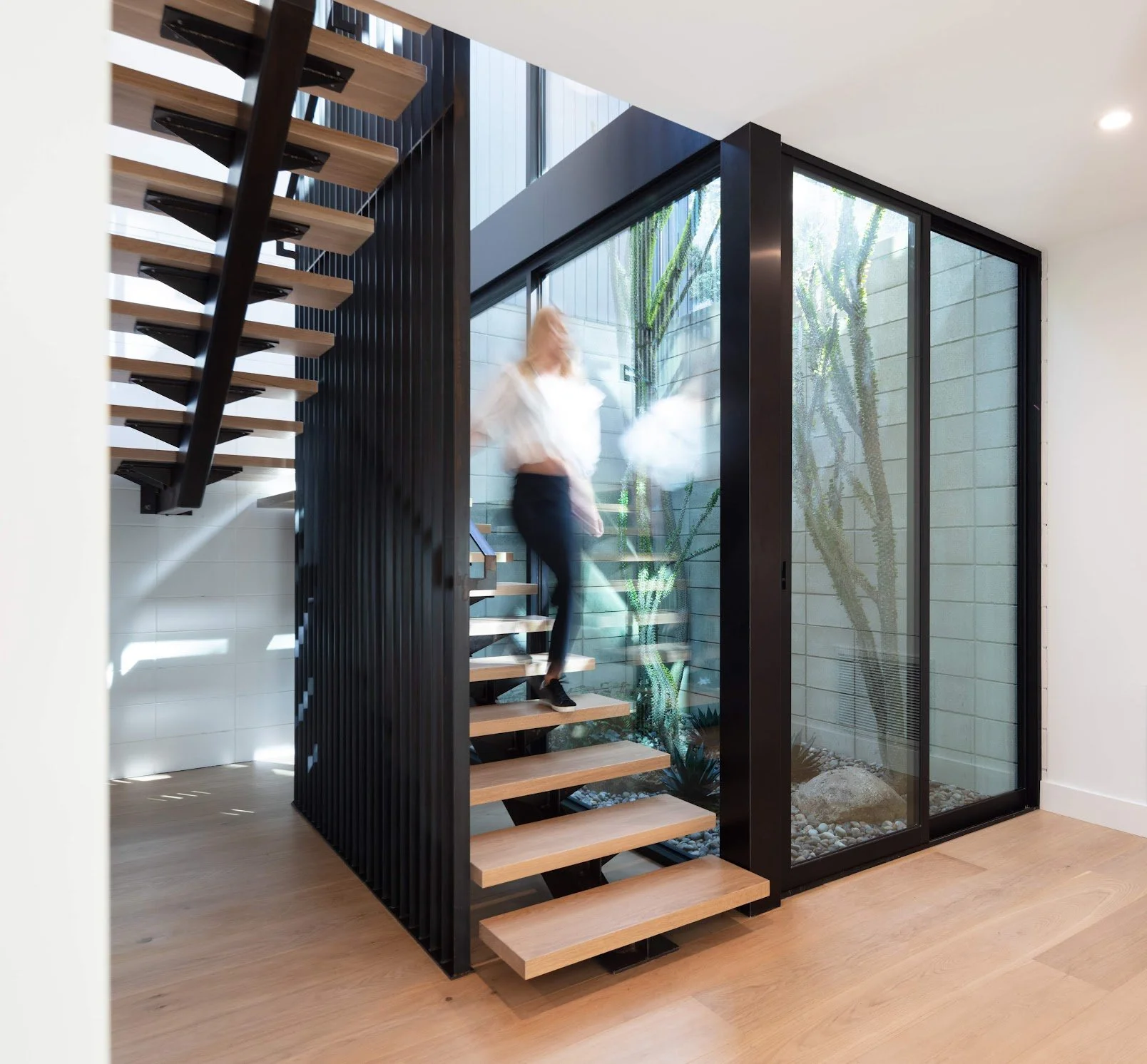 bradley_NDD_pine needles_33 edited.jpg