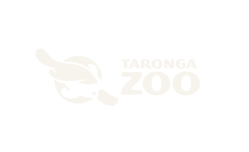 clients_taronga.png