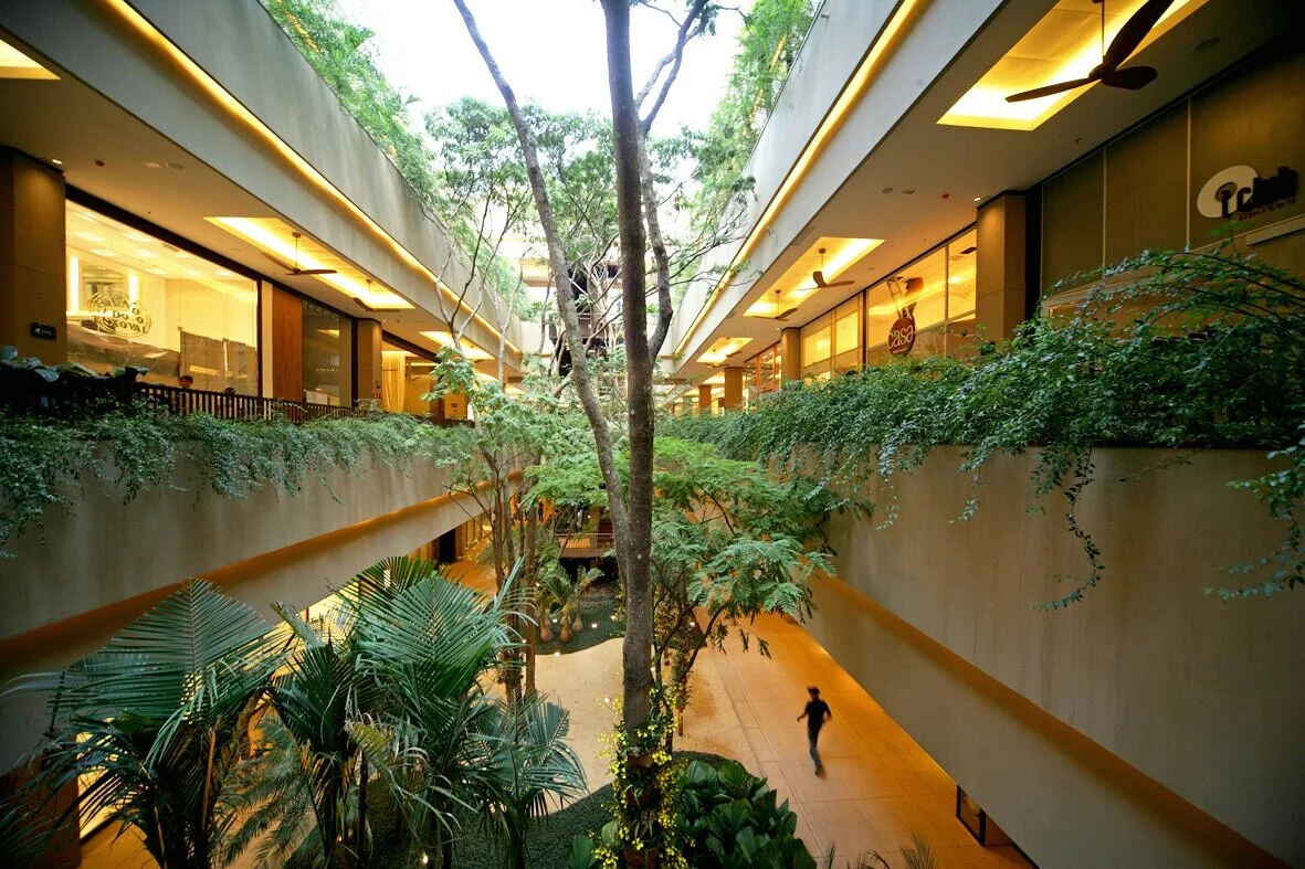 Wallpaper* City Guide, São Paulo